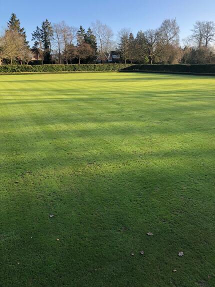 2025 WBC Green 19th Dec